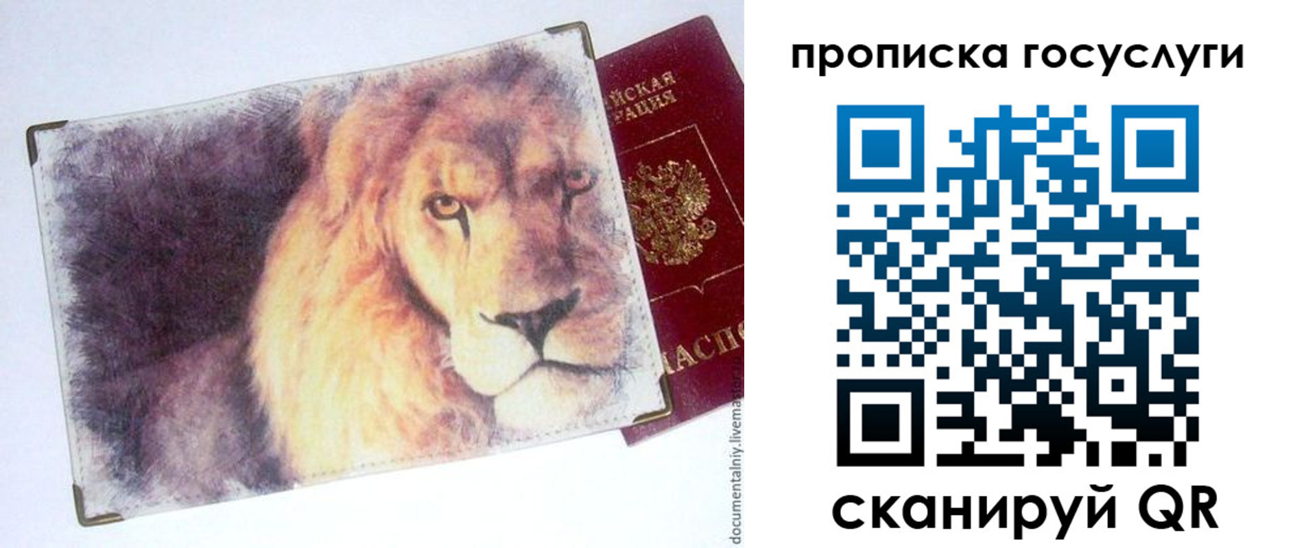 временная регистрация для всех в Оренбургской области